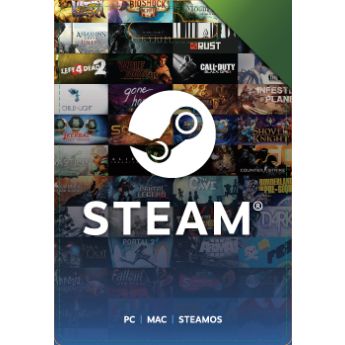 Steam Gift Card  100$